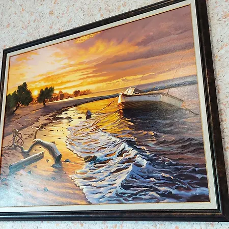 Forest View * Shkorpilovtsi