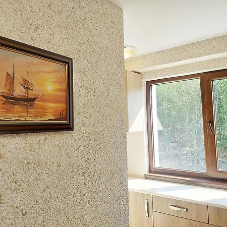 Forest View * Shkorpilovtsi