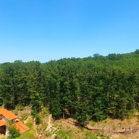 Forest View Lägenhet Shkorpilovtsi