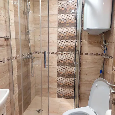 Forest View שקורפילובצי