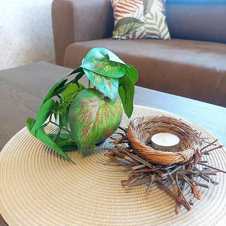 Forest View Апартамент