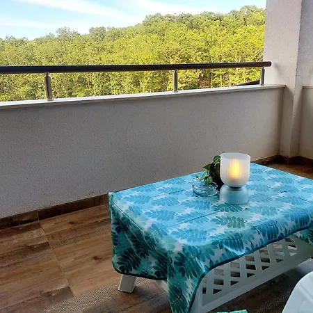 Forest View * Шкорпиловци