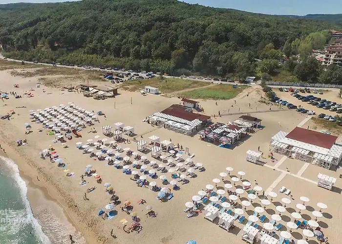 Appartement Forest View