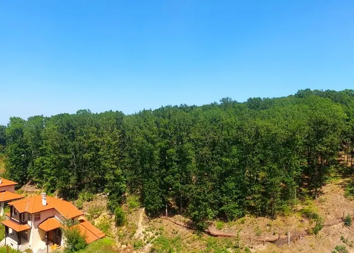 Forest View Appartement Shkorpilovtsi