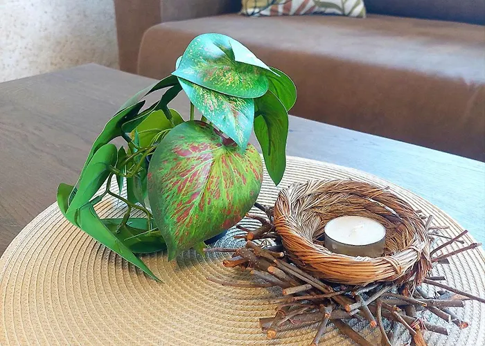 Forest View Appartement