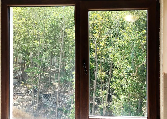 Forest View Appartement Shkorpilovtsi