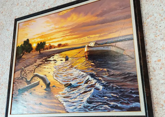 Forest View * Shkorpilovtsi