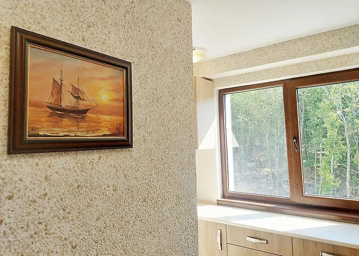 Forest View * Shkorpilovtsi