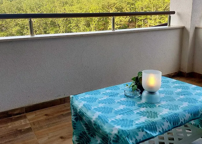 Forest View * Shkorpilovtsi